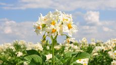 Test Results from 2026